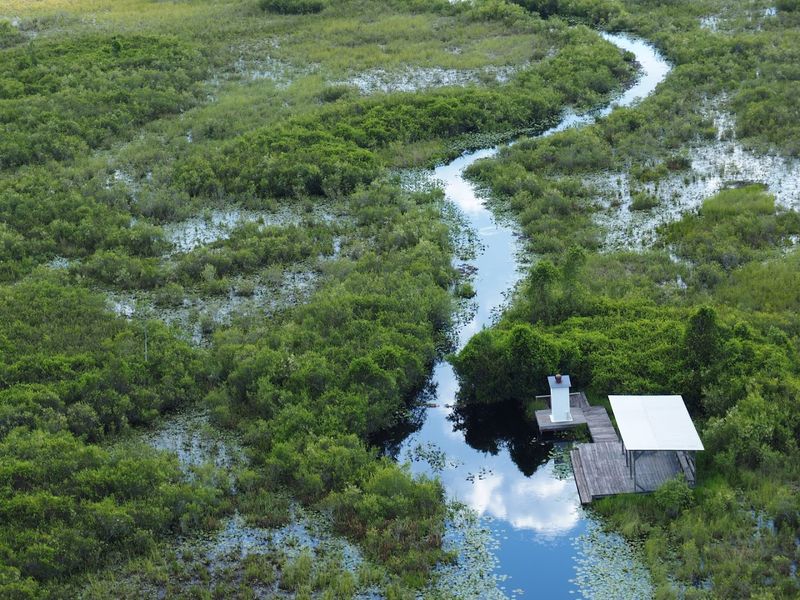 Okefenokee National Wildlife Refuge