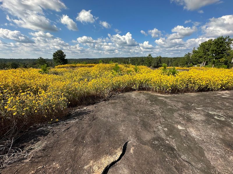 Arabia Mountain National Heritage Area (Klondike Trail)