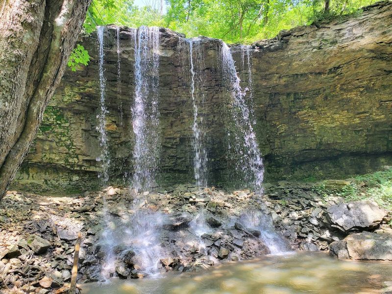 Charleston Falls Preserve