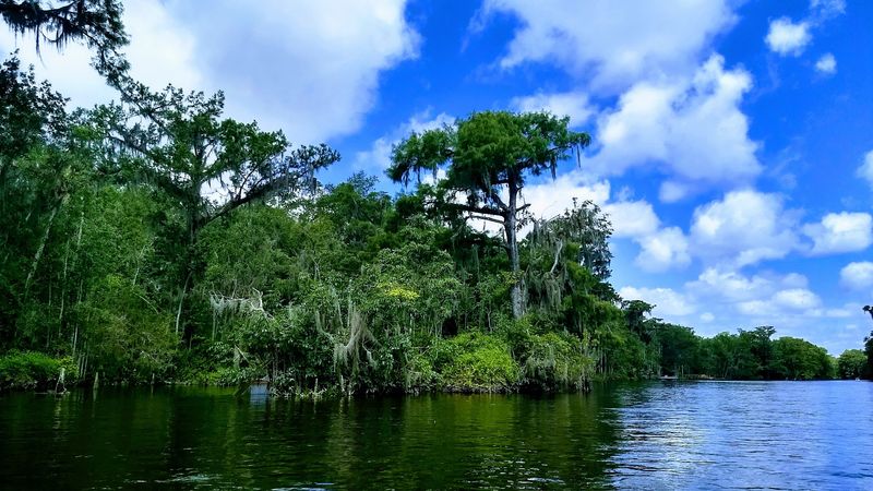 Wakulla River