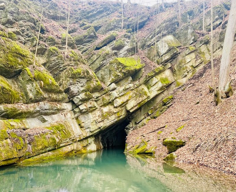 Penn's Cave and Wildlife Park