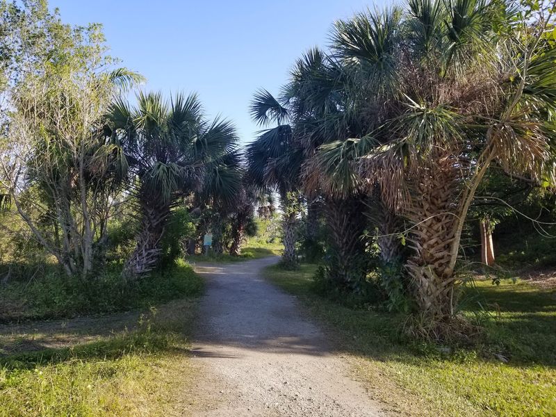 The Calusa Story Changes the Landscape Entirely