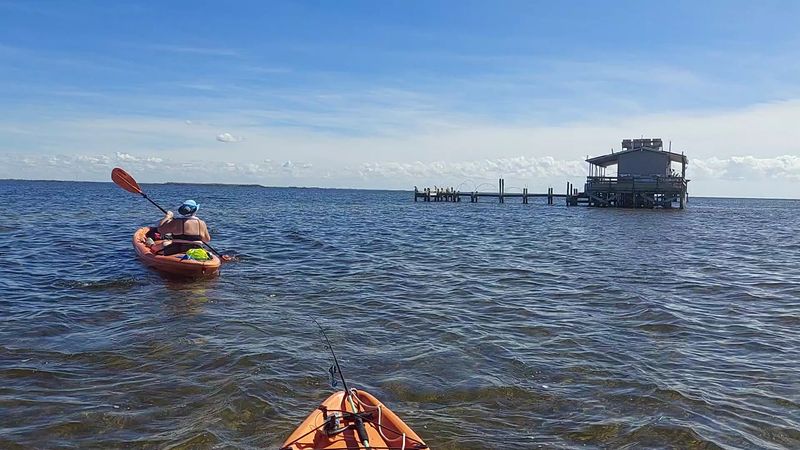 Kayaking the Mangroves Instead of Chasing Crowds