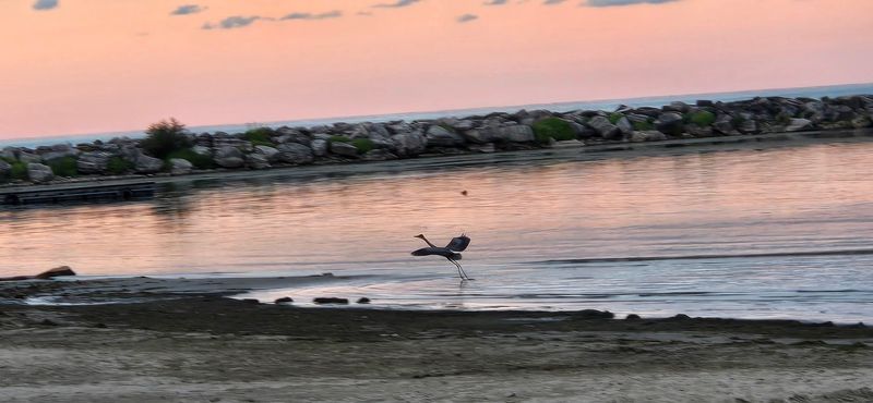 Birdwatching and Wildlife Add Another Layer