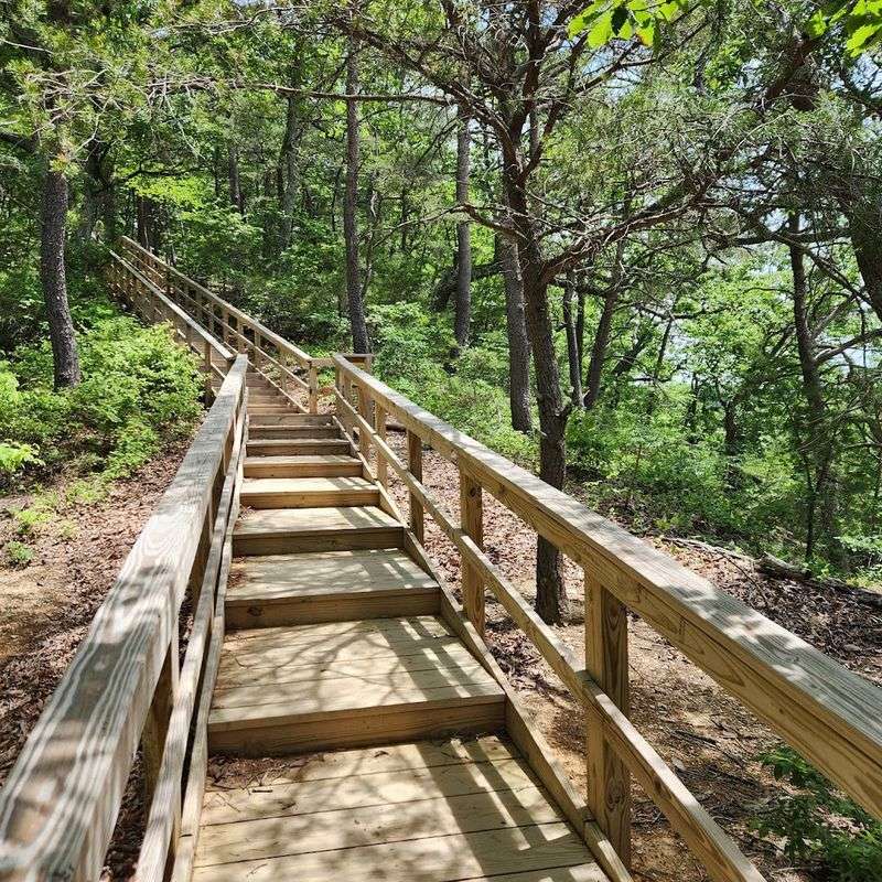 Buzzardroost Rock Trail - Lynx, Adams County