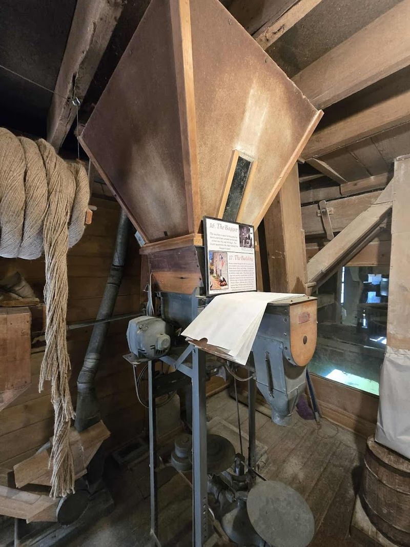Live Grain-Grinding Demonstrations