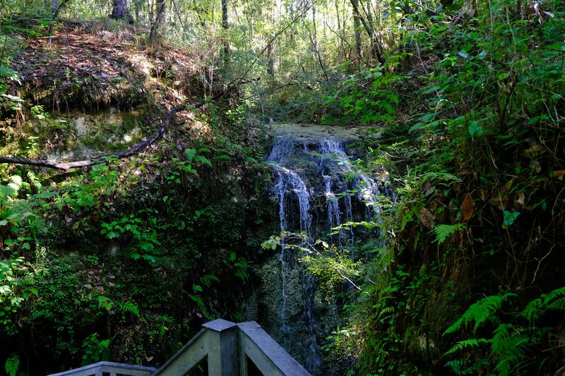 Falling Waters State Park — Chipley, Florida