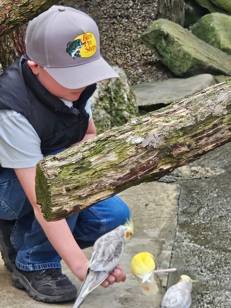 Why Families With Young Kids Love It