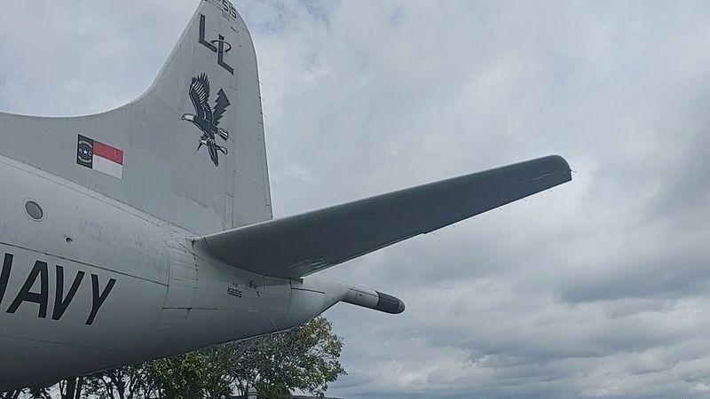 Historic Aircraft You Can See Up Close