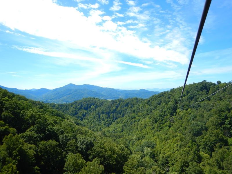 Navitat Canopy Adventures