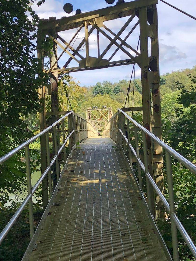 A Bridge Built for Nature Lovers, Not Cars