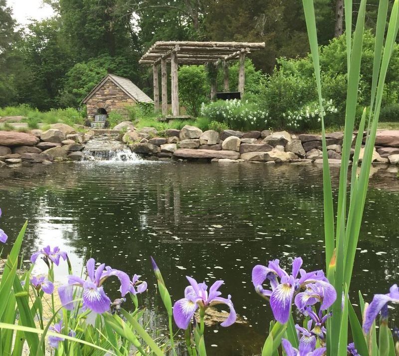 Bowman's Hill Wildflower Preserve (New Hope)