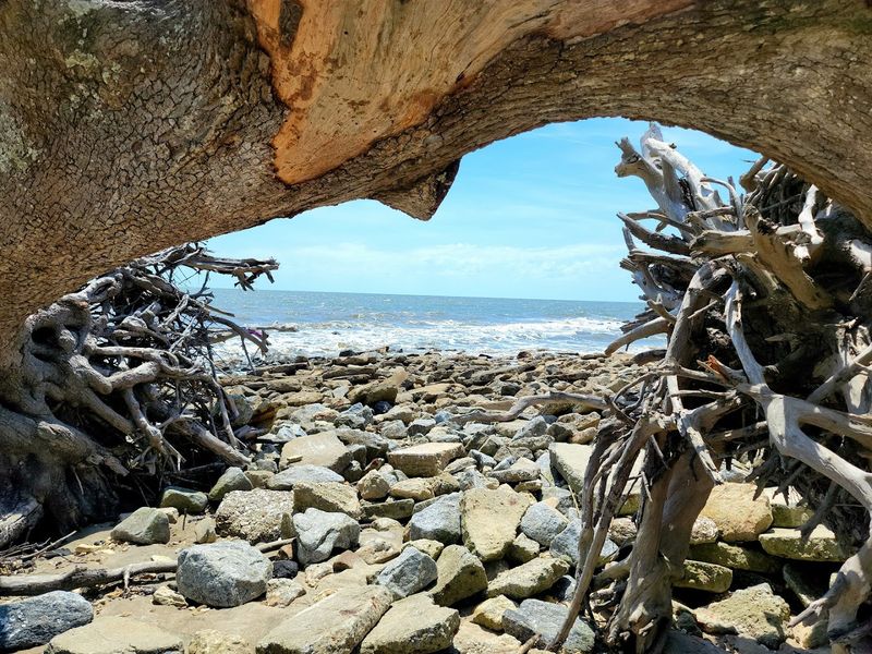 Jekyll Island’s Driftwood Beach, Jekyll Island, Glynn County