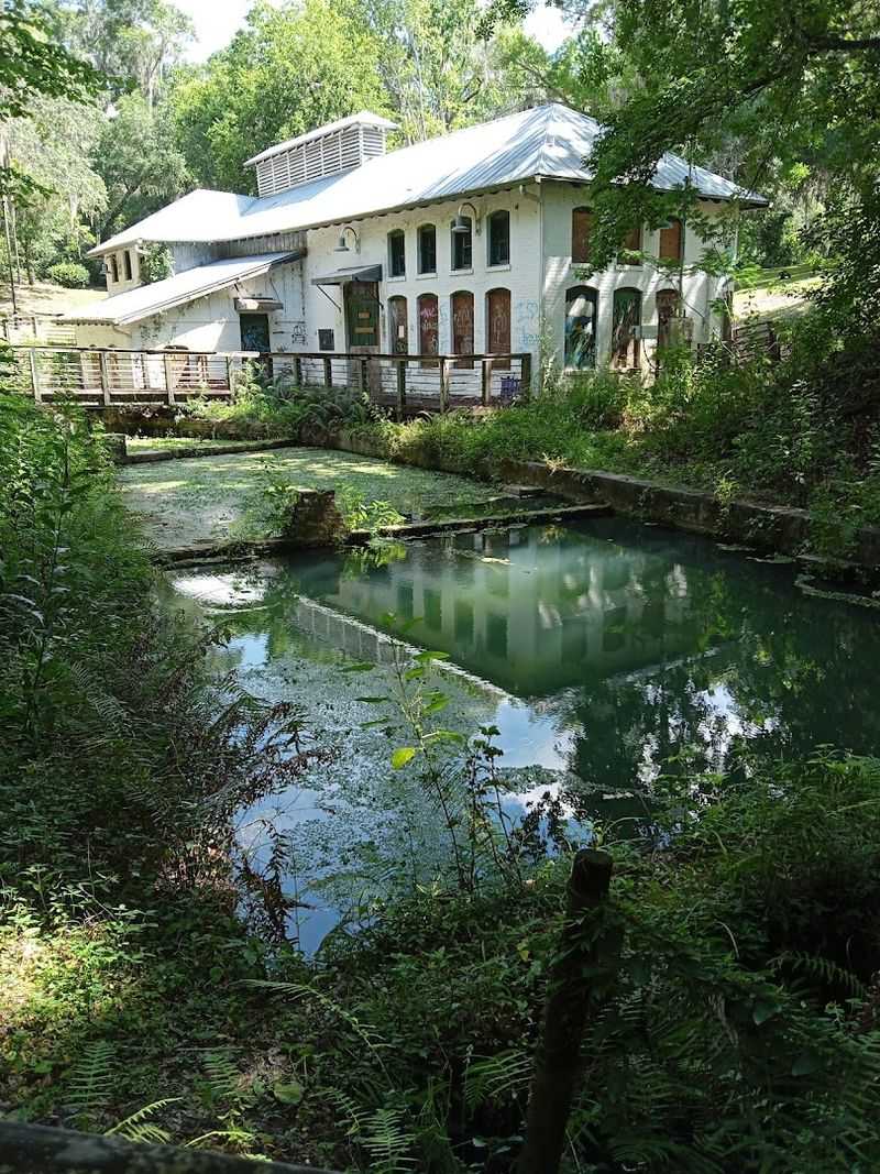 The Natural Spring