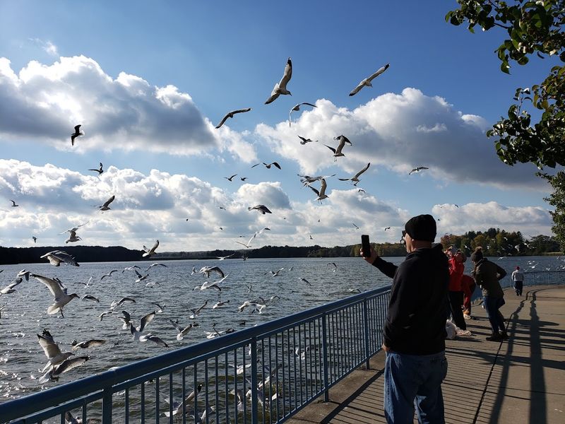 Bird Watching Opportunities Galore