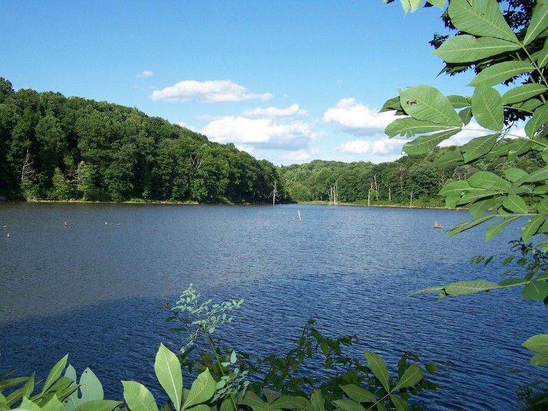 Salt Fork State Park (Lore City)