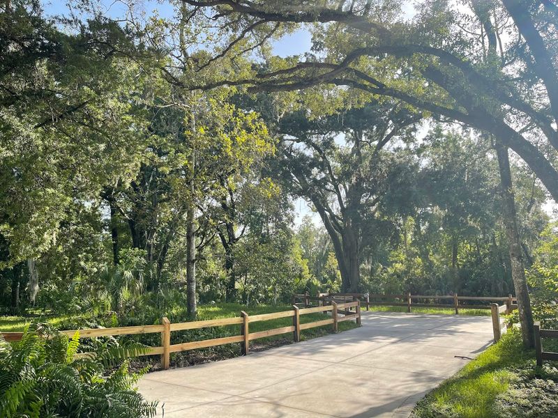 The Picnic Grounds and Relaxed Day-Use Areas
