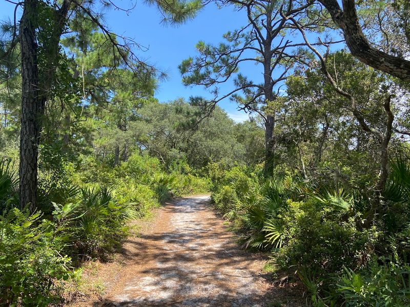 Black Rock Trail Adventure
