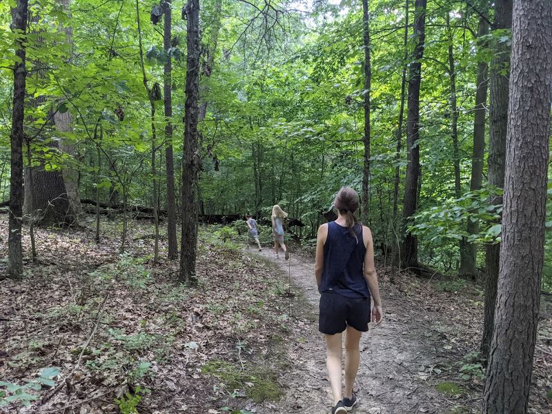 The Quarry Rim Trail Adventure