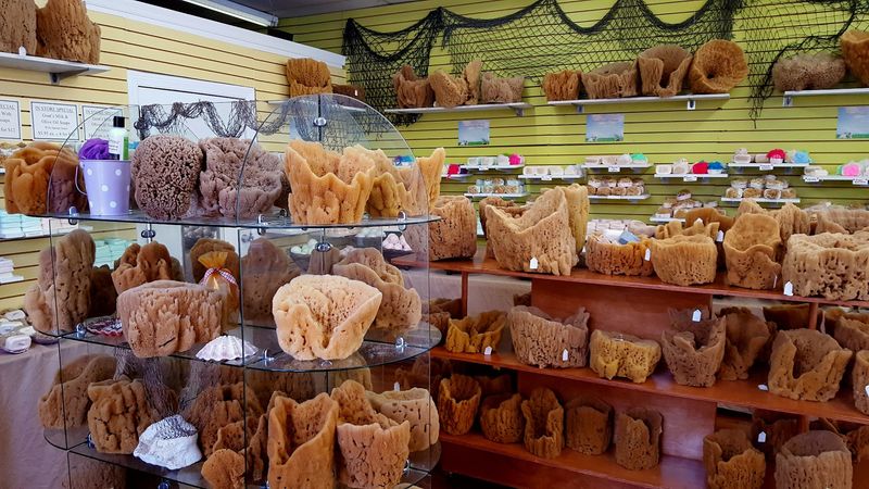 Tarpon Springs Sponge Docks Shops
