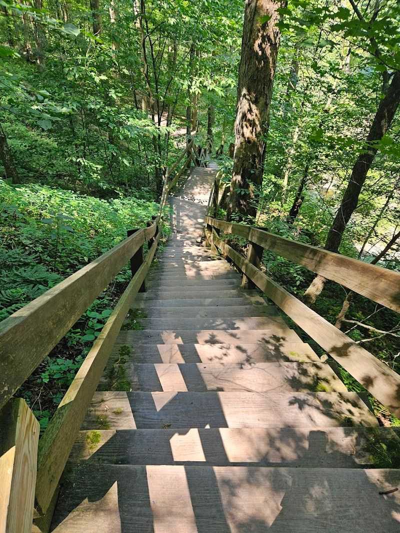 The Descent Into Paradise