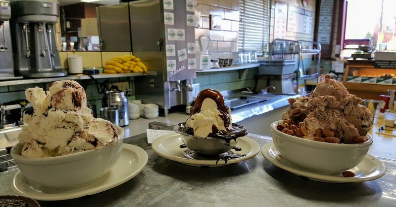 Plates Built for Real Appetites