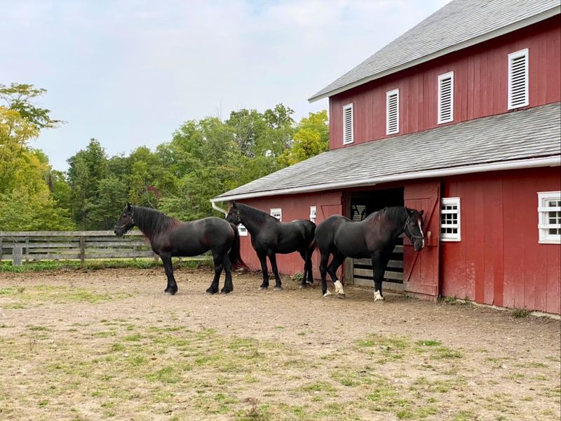 Slate Run Living Historical Farm