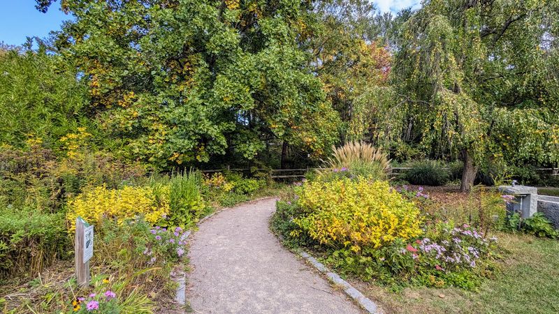 Acton Arboretum - Acton, MA