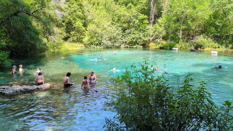 Head Springs Swimming Spot