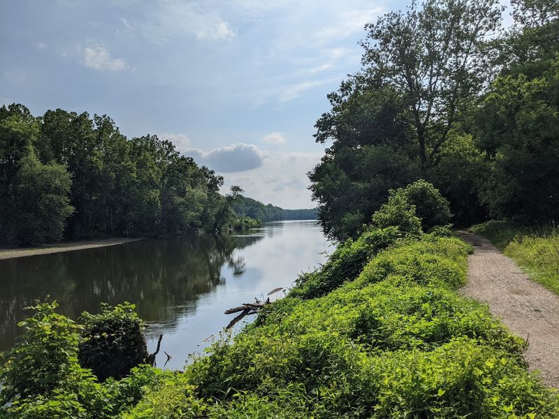 Scenic Trails Through Forests and Meadows