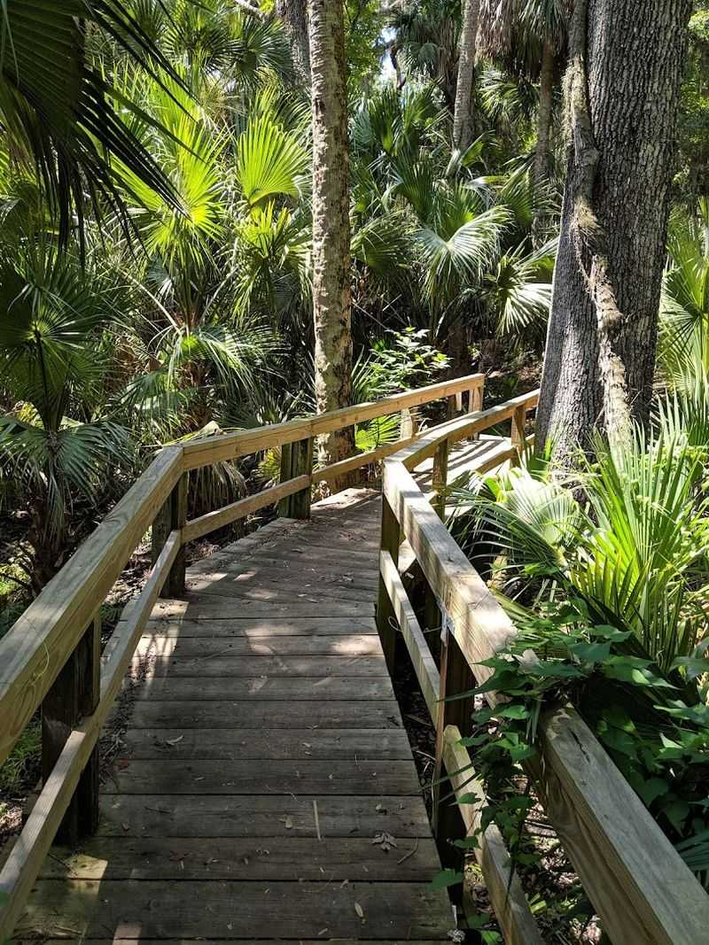Historic Bulow Woods Path