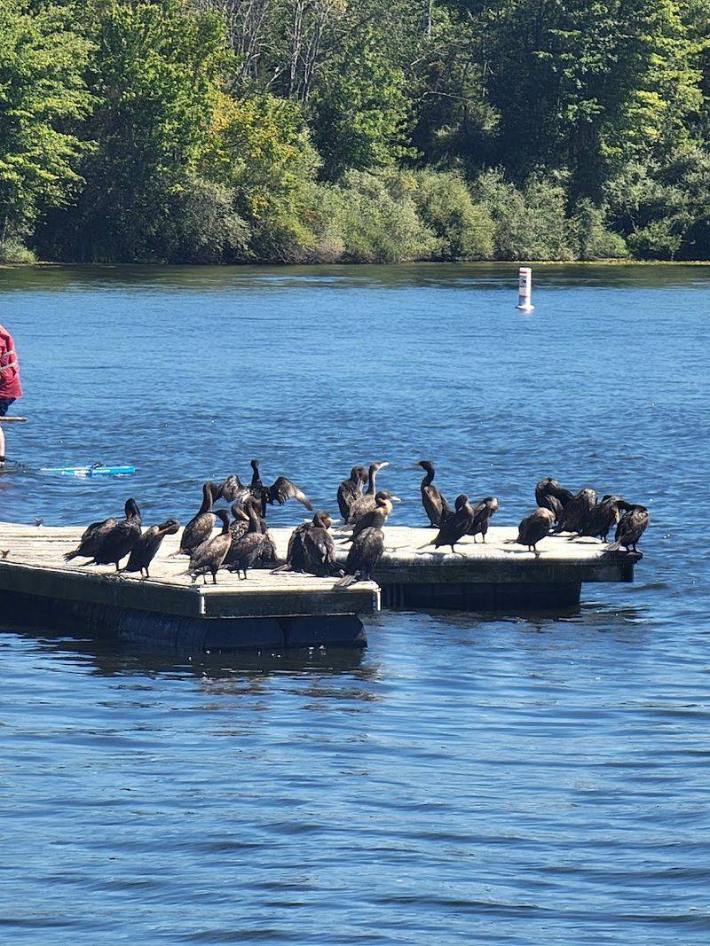 Wildlife and Birdwatching Add to the Experience