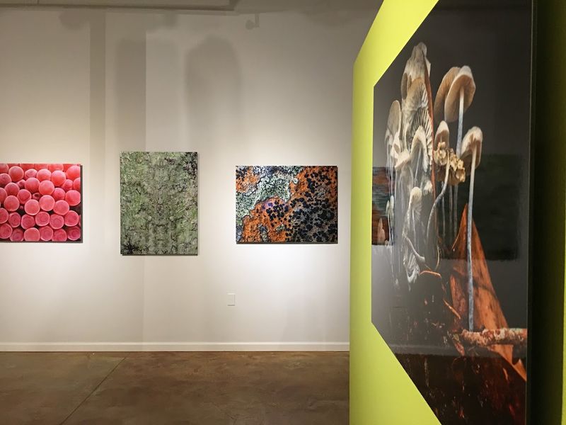 Artists, Students, and Curious Strangers