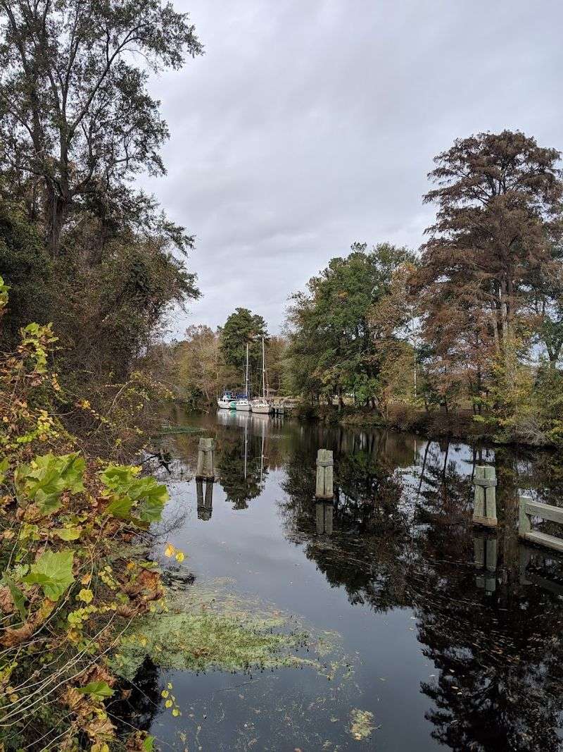 Dismal Swamp State Park