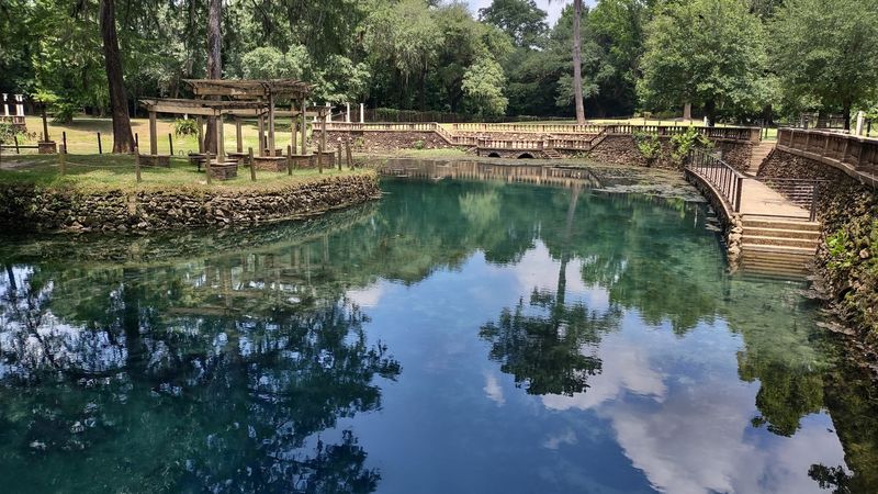 Radium Springs Gardens (Albany)