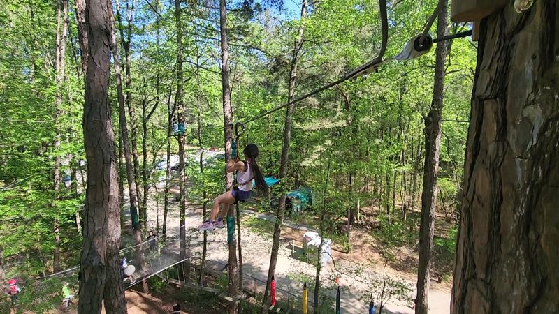 Treetop Quest Dunwoody (Dunwoody, GA)