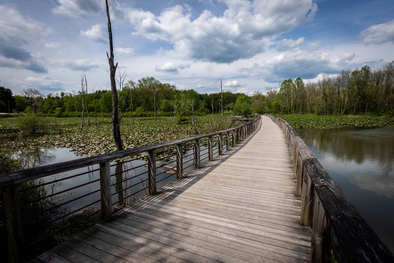 Beaver Marsh Is Quiet, Wild, And Wonderfully Photogenic