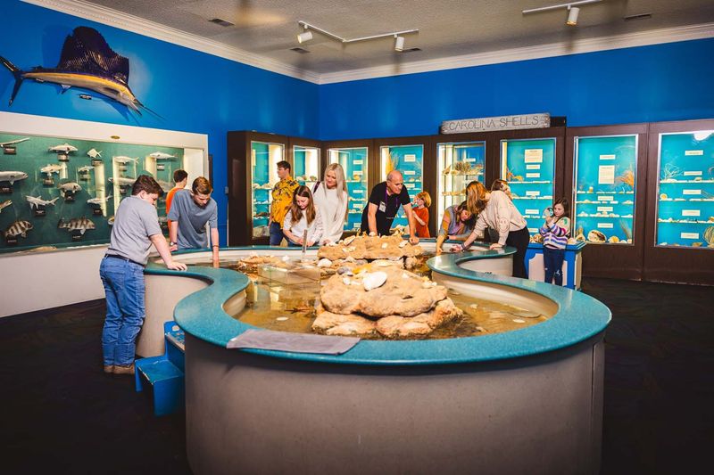 Museum of Coastal Carolina