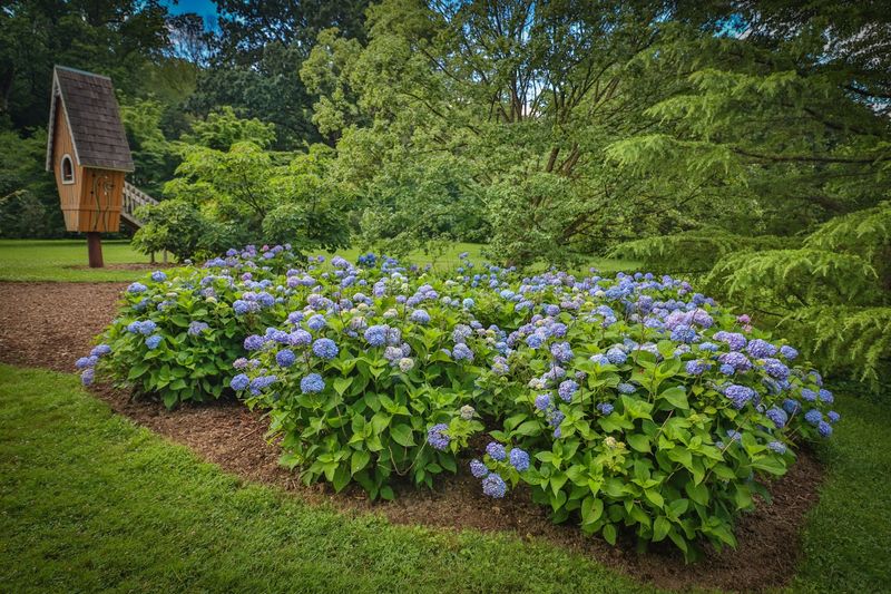 Tyler Arboretum (Media)