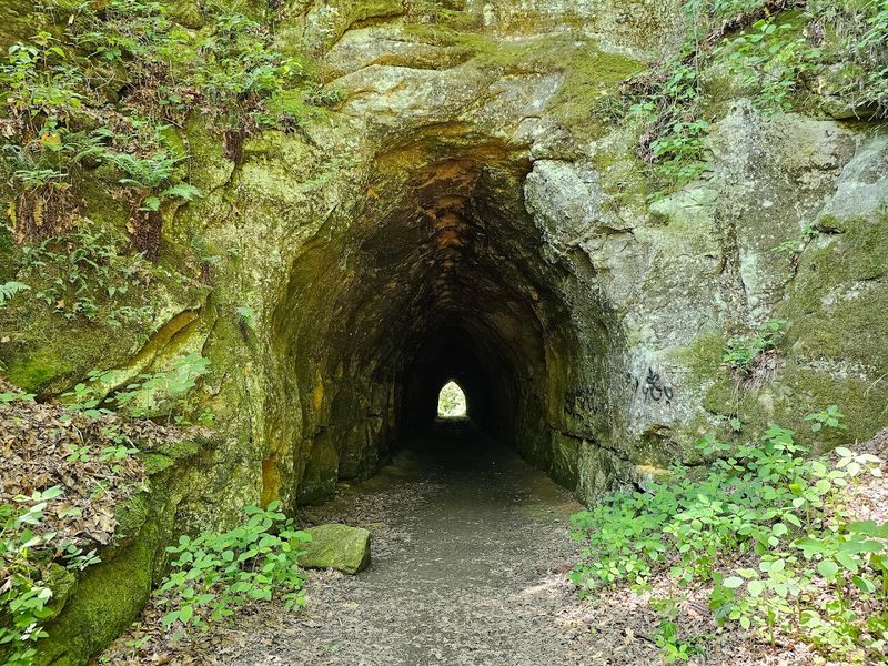 The Historic Train Tunnel