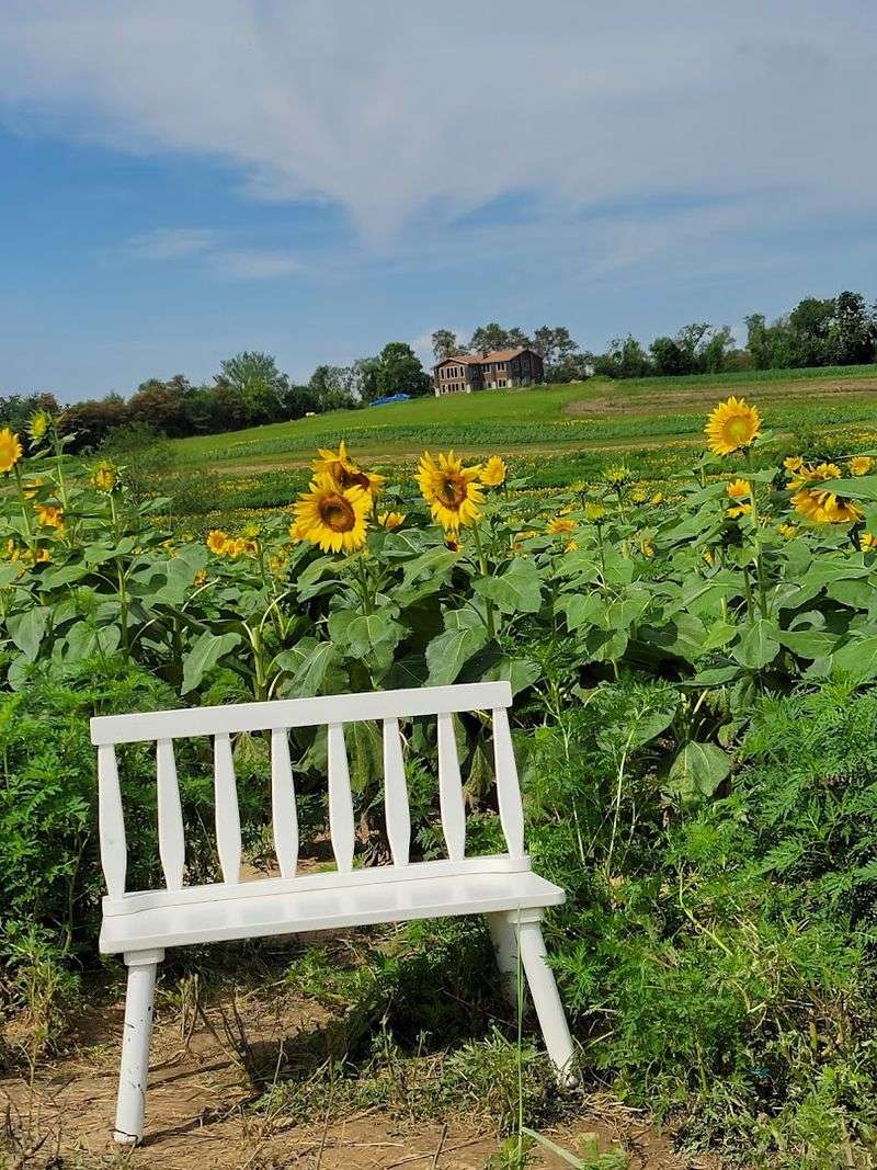 A Dream Spot For Photos