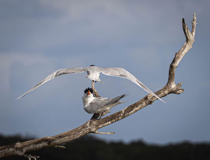 Wildlife Watching Here Feels Almost Unfairly Easy