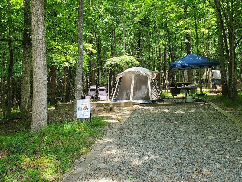 The Backcountry Campsites
