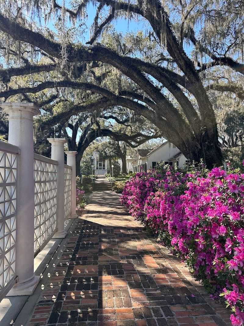 The Gardens of the Big Bend at Goodwood Museum and Gardens