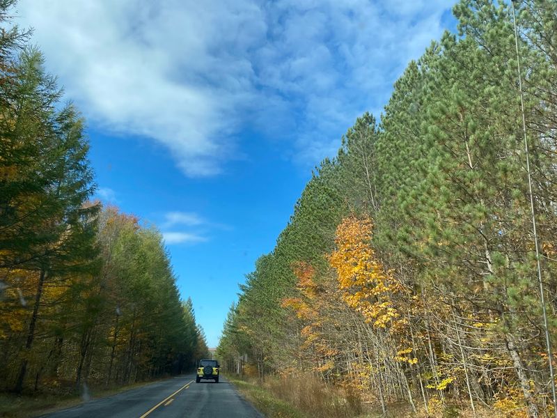 Quehanna Wild Area Loop, Driftwood (Wykoff Run Road)