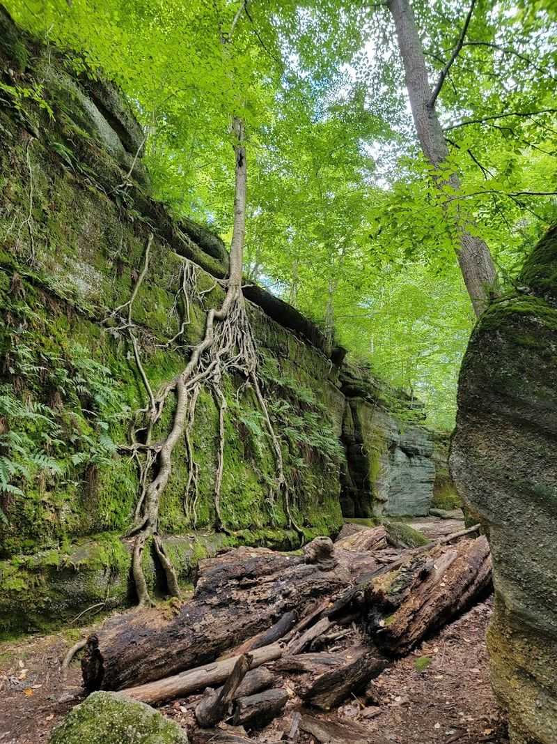 Rock Formations That Steal the Show