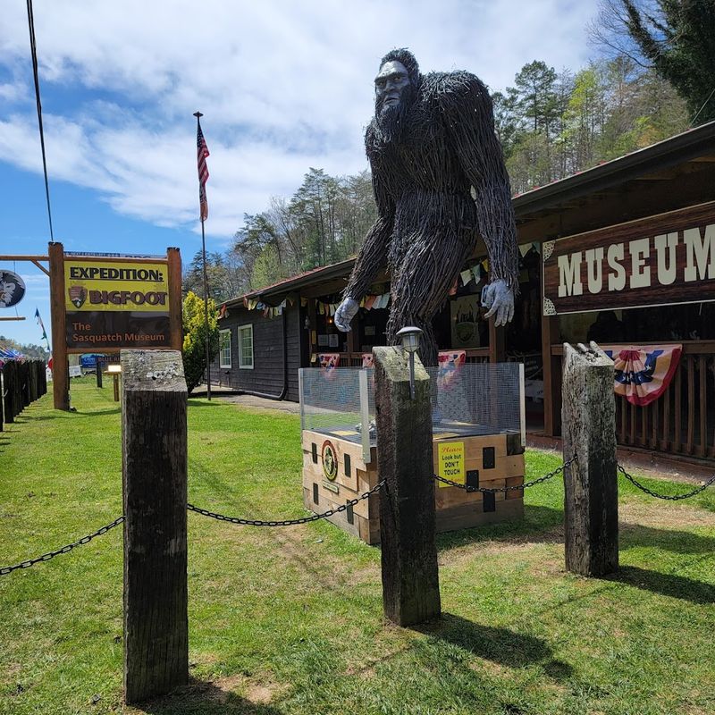Expedition Bigfoot (Cherry Log)
