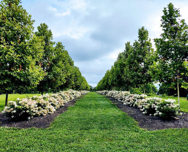 Specialty Gardens That Change With the Seasons