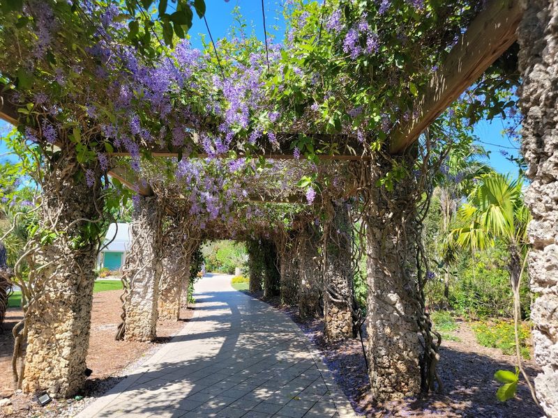 The Water Gardens at Naples Botanical Garden