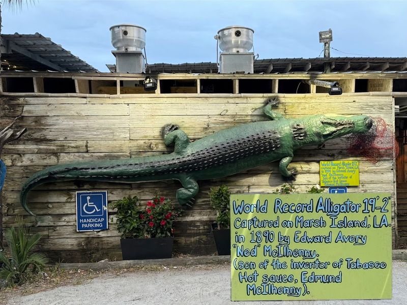 A Place Where Wildlife Becomes Part of Dinner